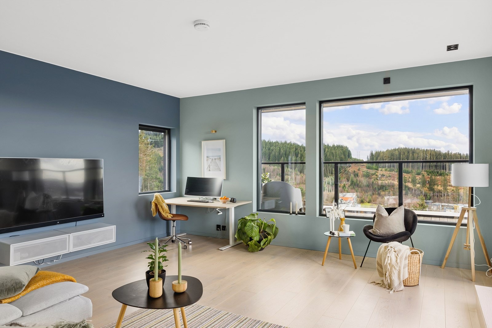 Her er det god plass til sittegruppe, tvmøbler og hjemmekontor. Galleribilde