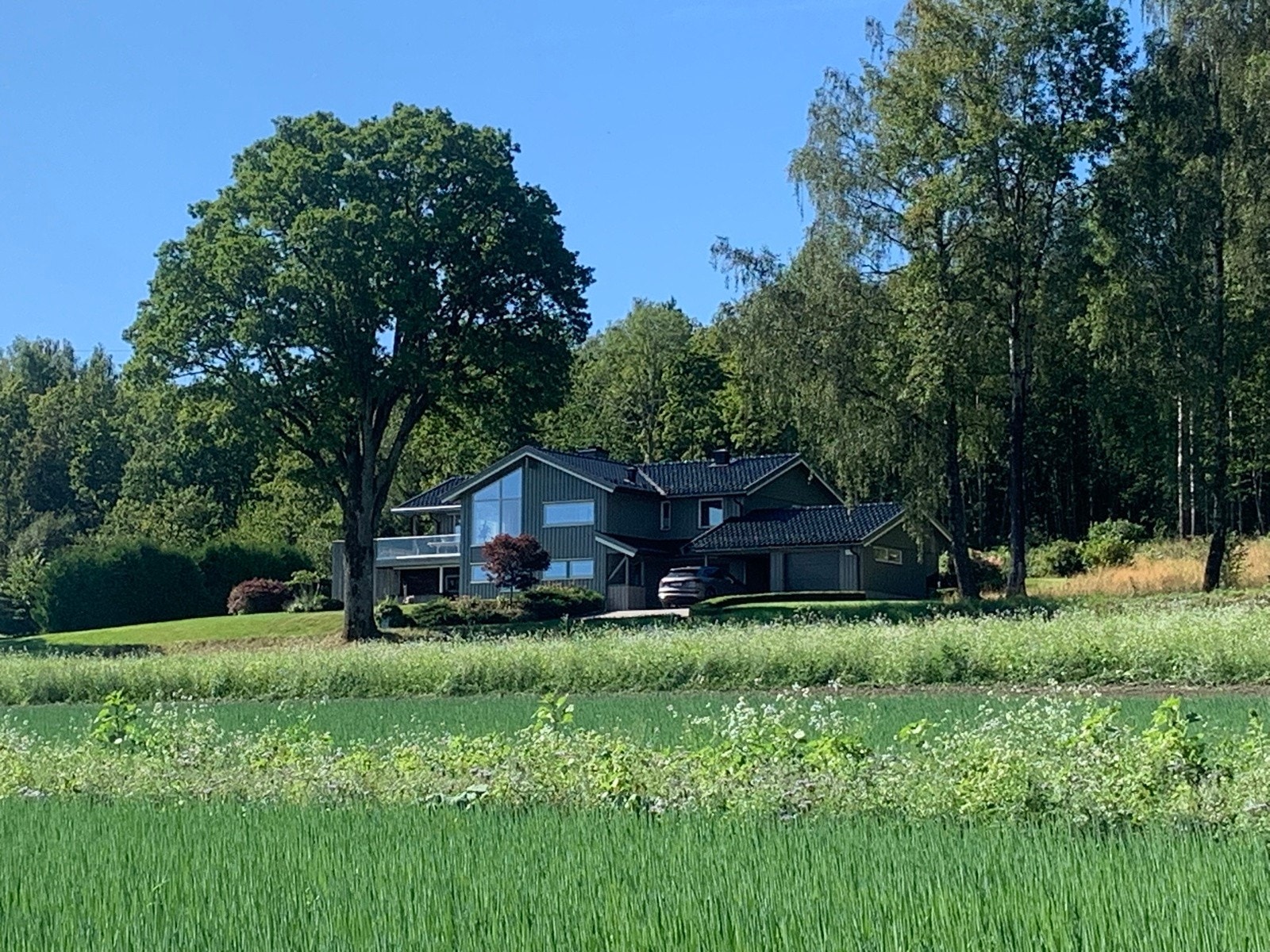 Fantastisk eiendom - idyll i naturskjønne omgivelser......... Galleribilde