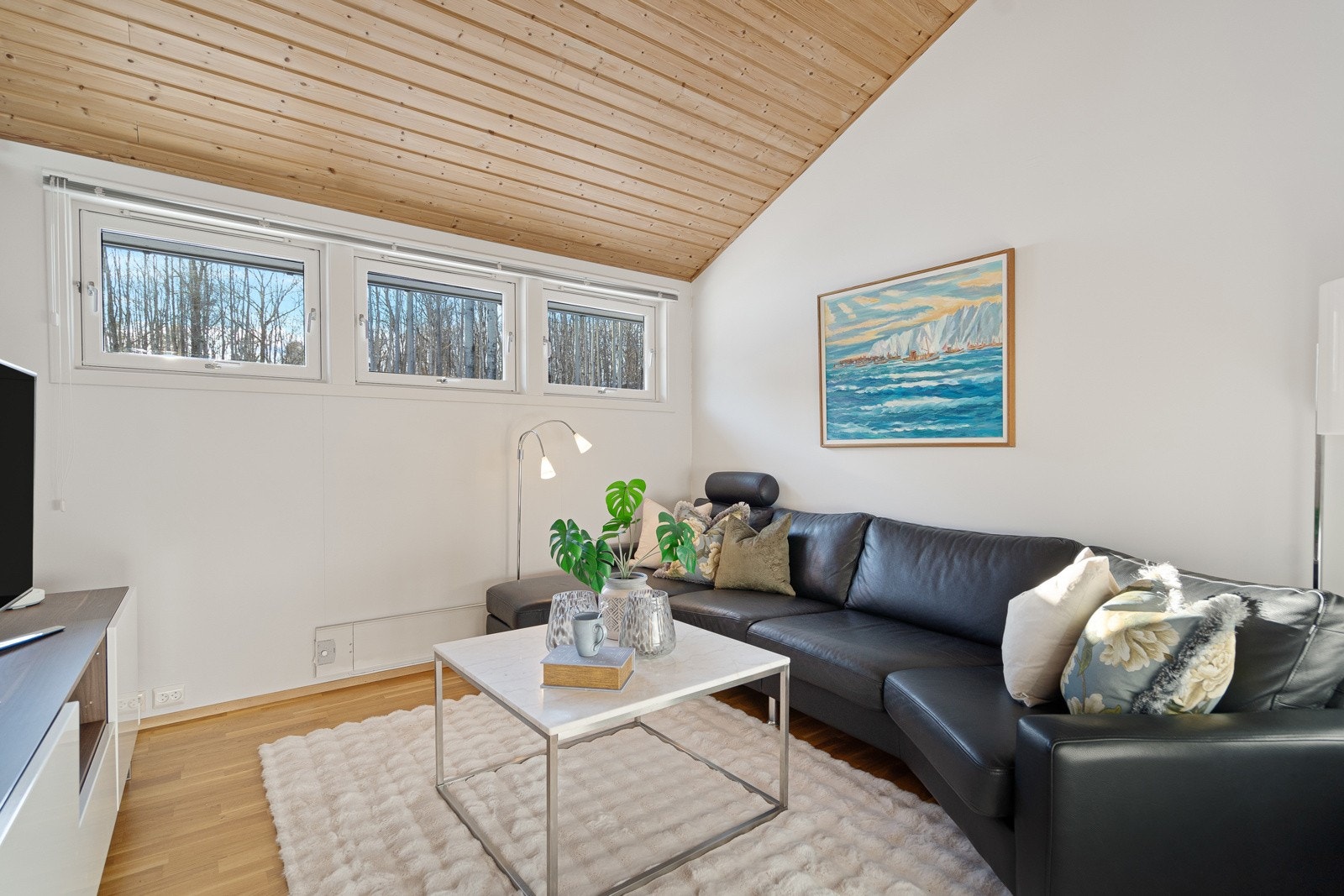 Tv-stuen i hovedetasjen Galleribilde