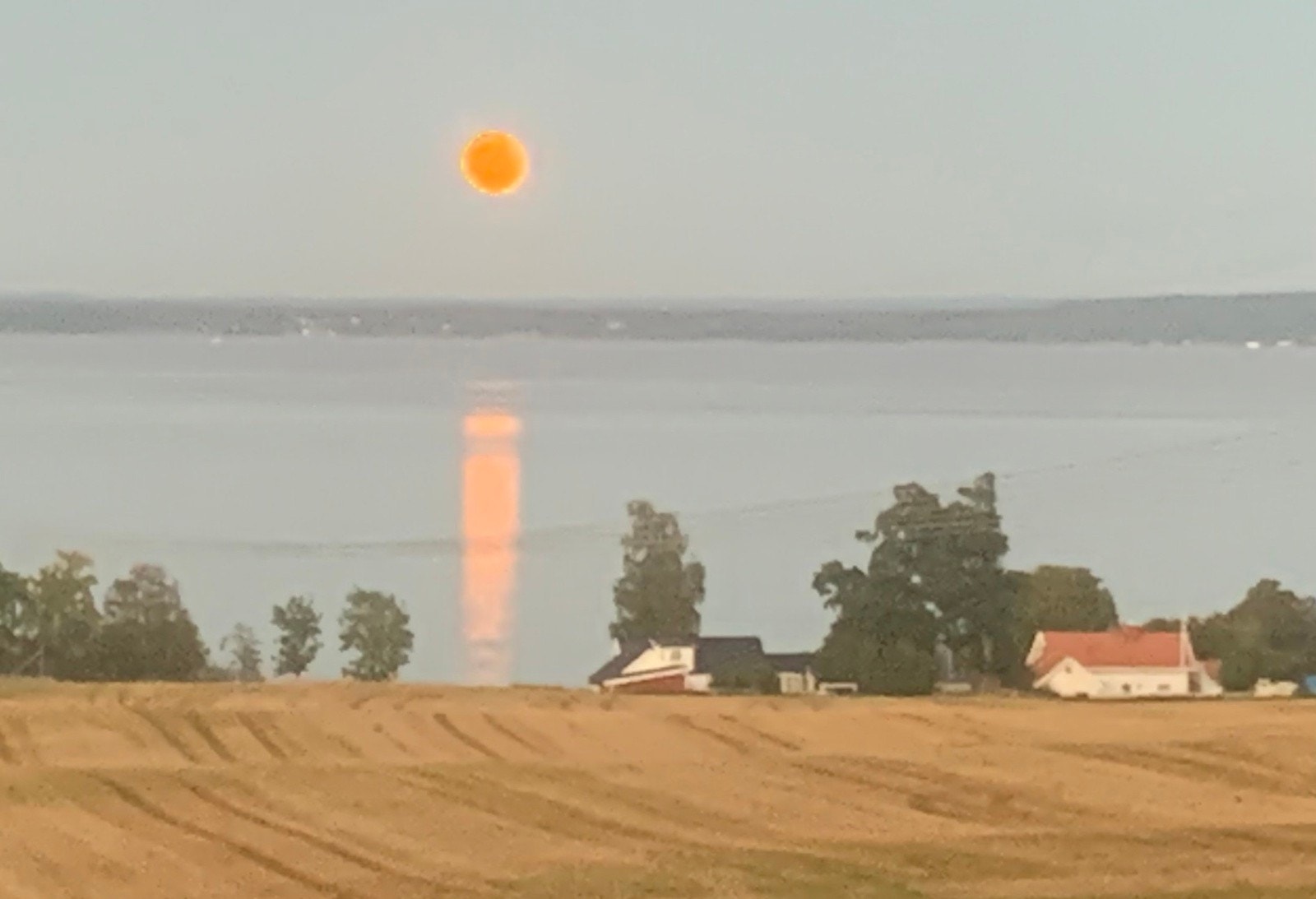 Fullmånen speiler seg i fjorden Galleribilde