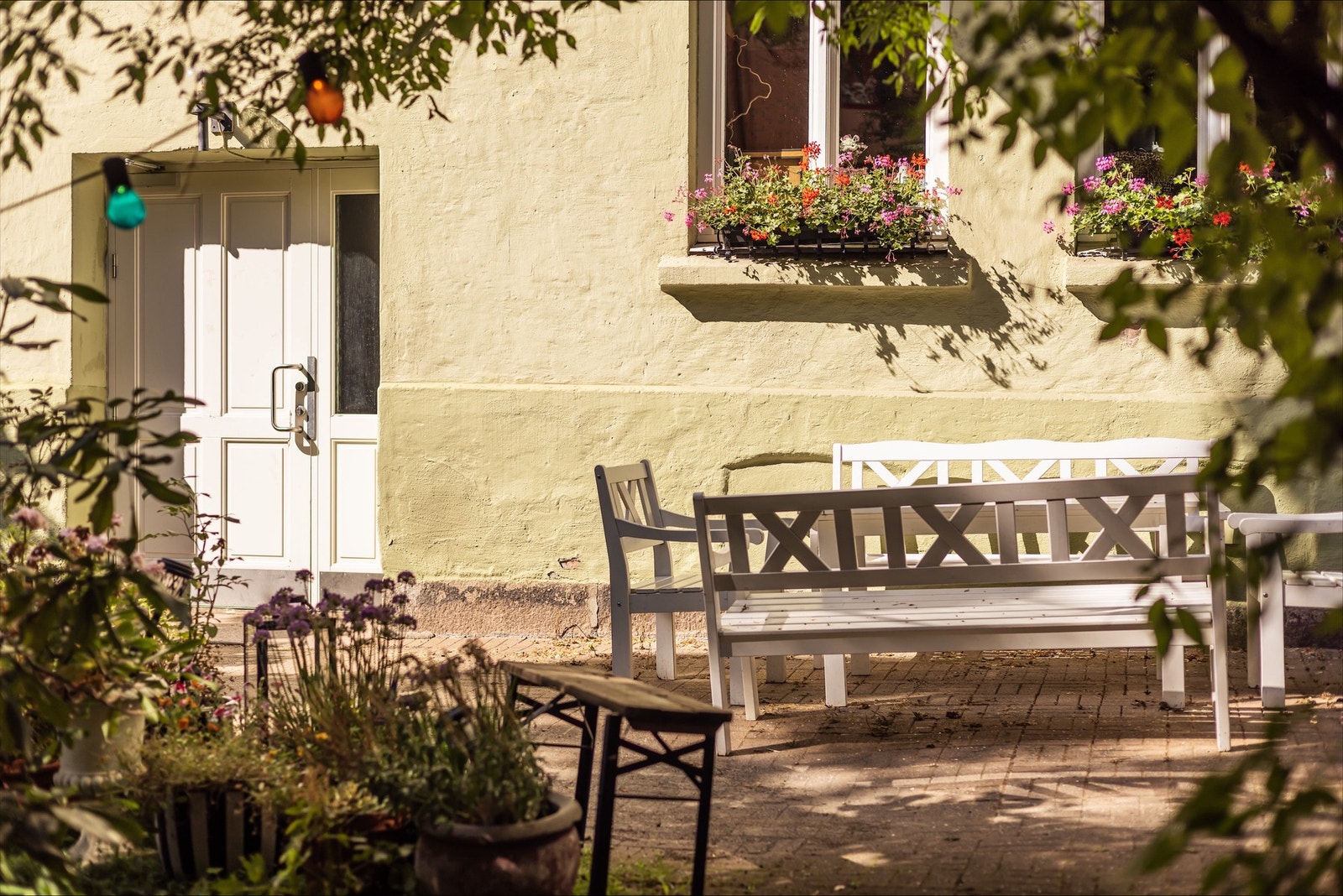Stor felles bakgård som er en flott oase på sommerstid. Galleribilde