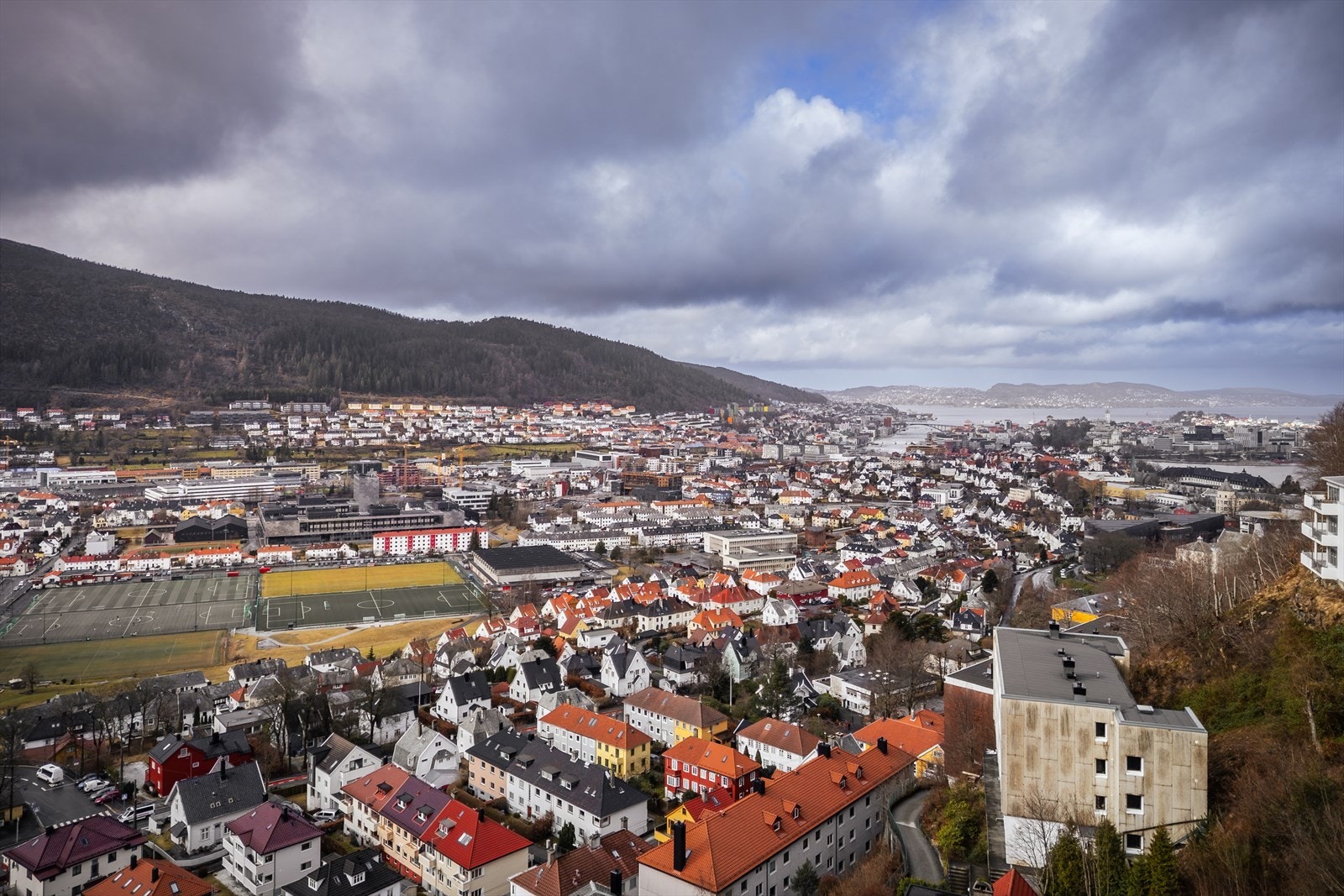 Område Galleribilde