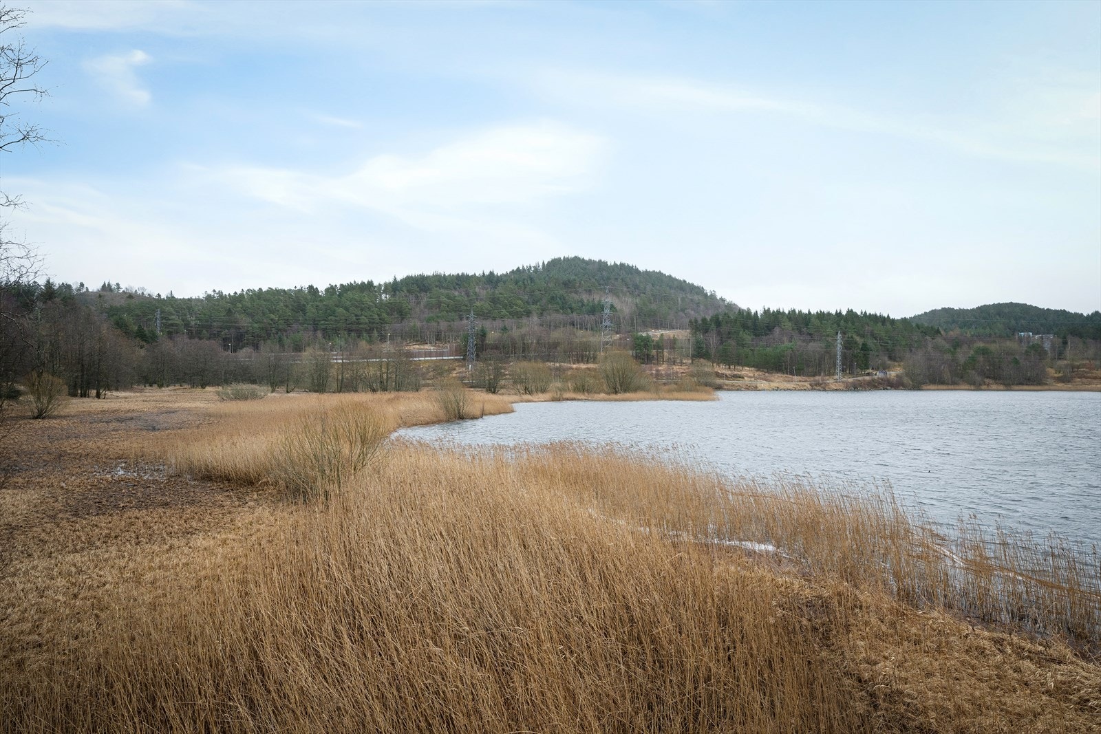 Fantastiske omgivelser med naturen som nærmeste nabo. Enkelt for tur og trening - likevel har du alle fasiliteter i umiddelbar tilgang. Galleribilde