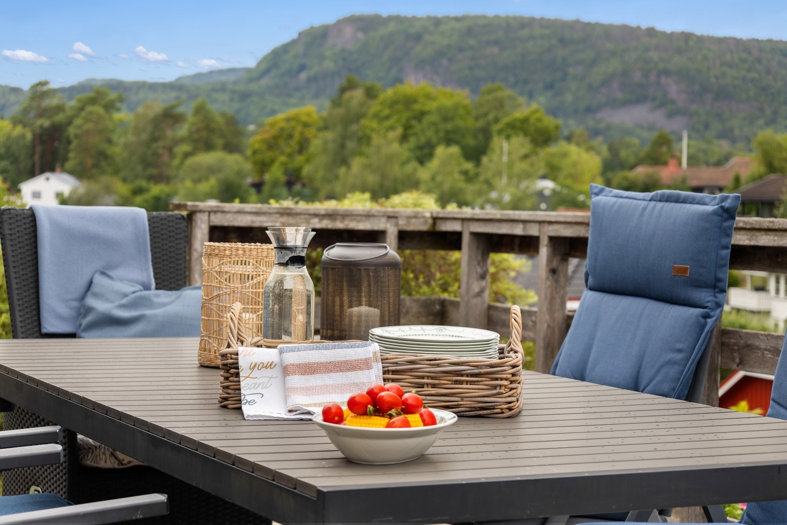 Utsikt til Skaugumsåsen fra terrassen Galleribilde