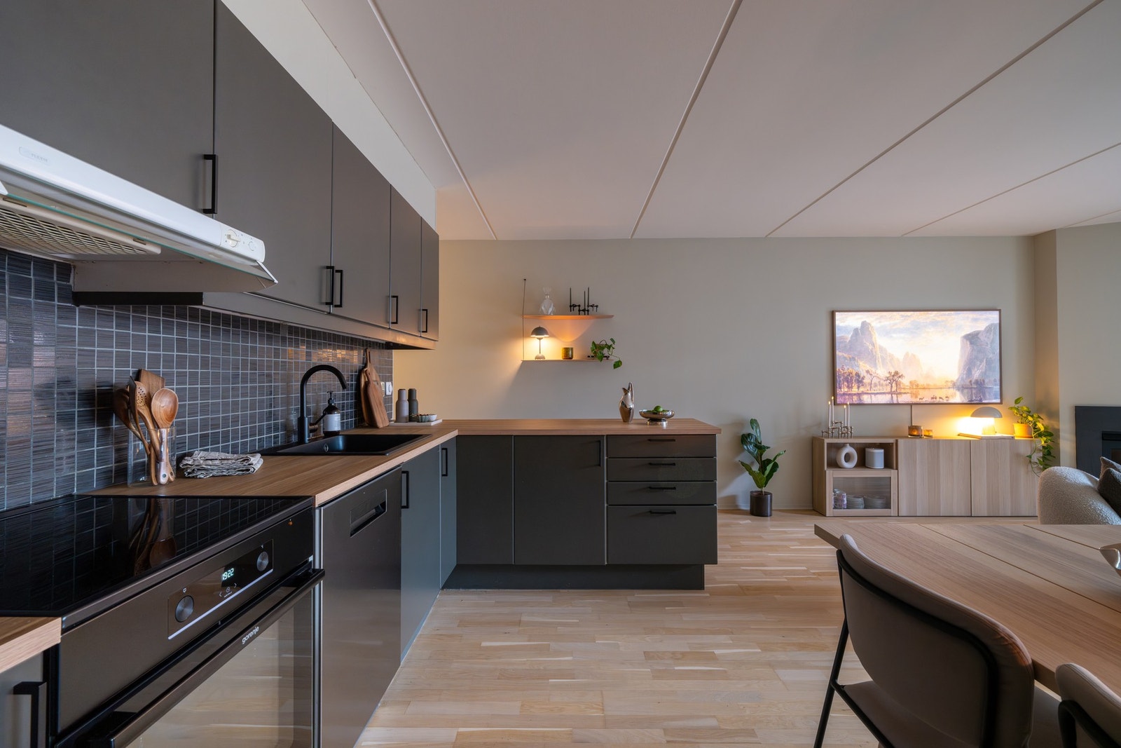 Videre medfølger alle hvitevarene. Galleribilde