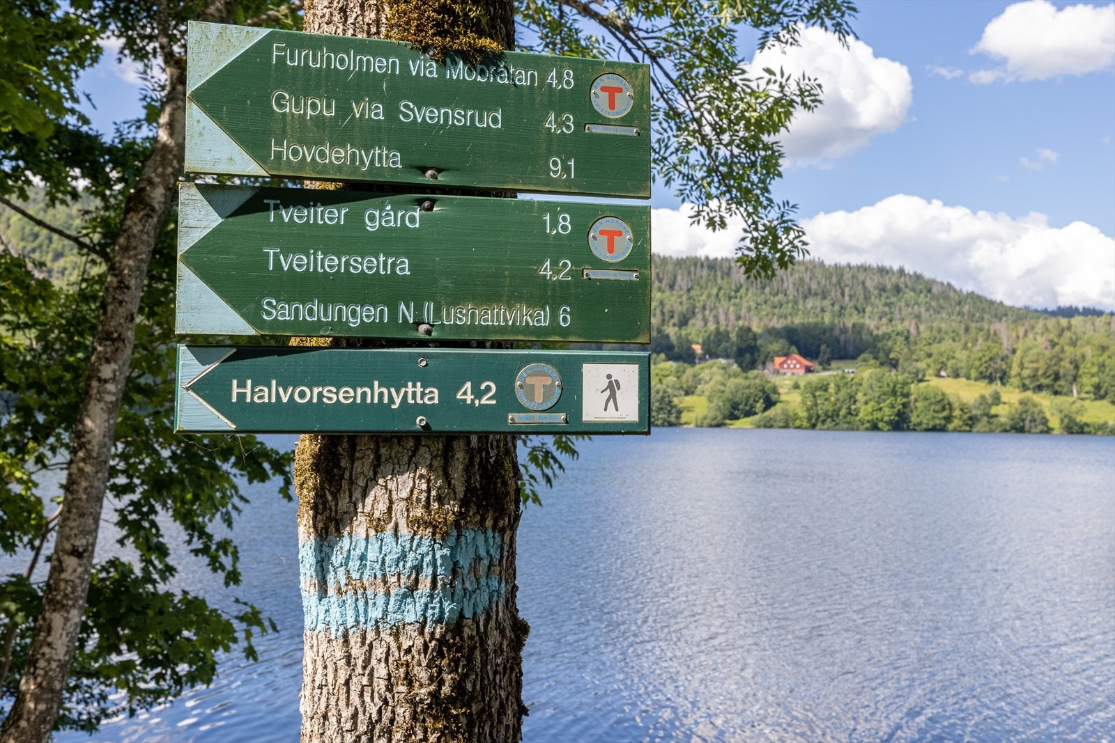 Fra Semsvannet er det mange fine turstier innover i Vestmarka. Galleribilde