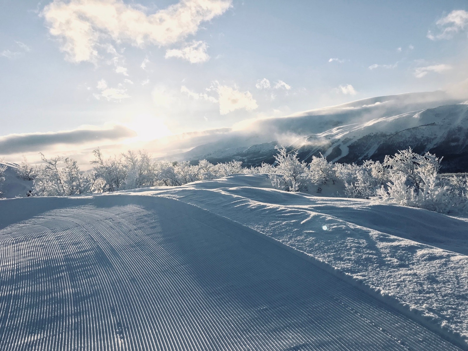 Her kan du gli avgårde mot populære turmål som Panoramahytta, Utsikten eller Flyløypa Galleribilde