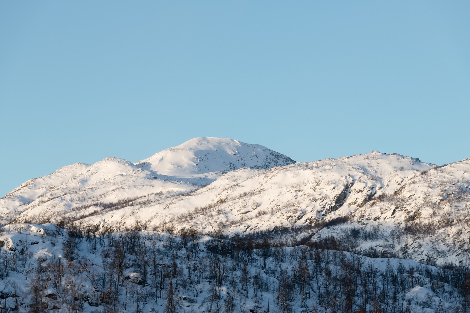 Et lite fristed med panoramautsikt mot det storslåtte høyfjellsterrenget Galleribilde