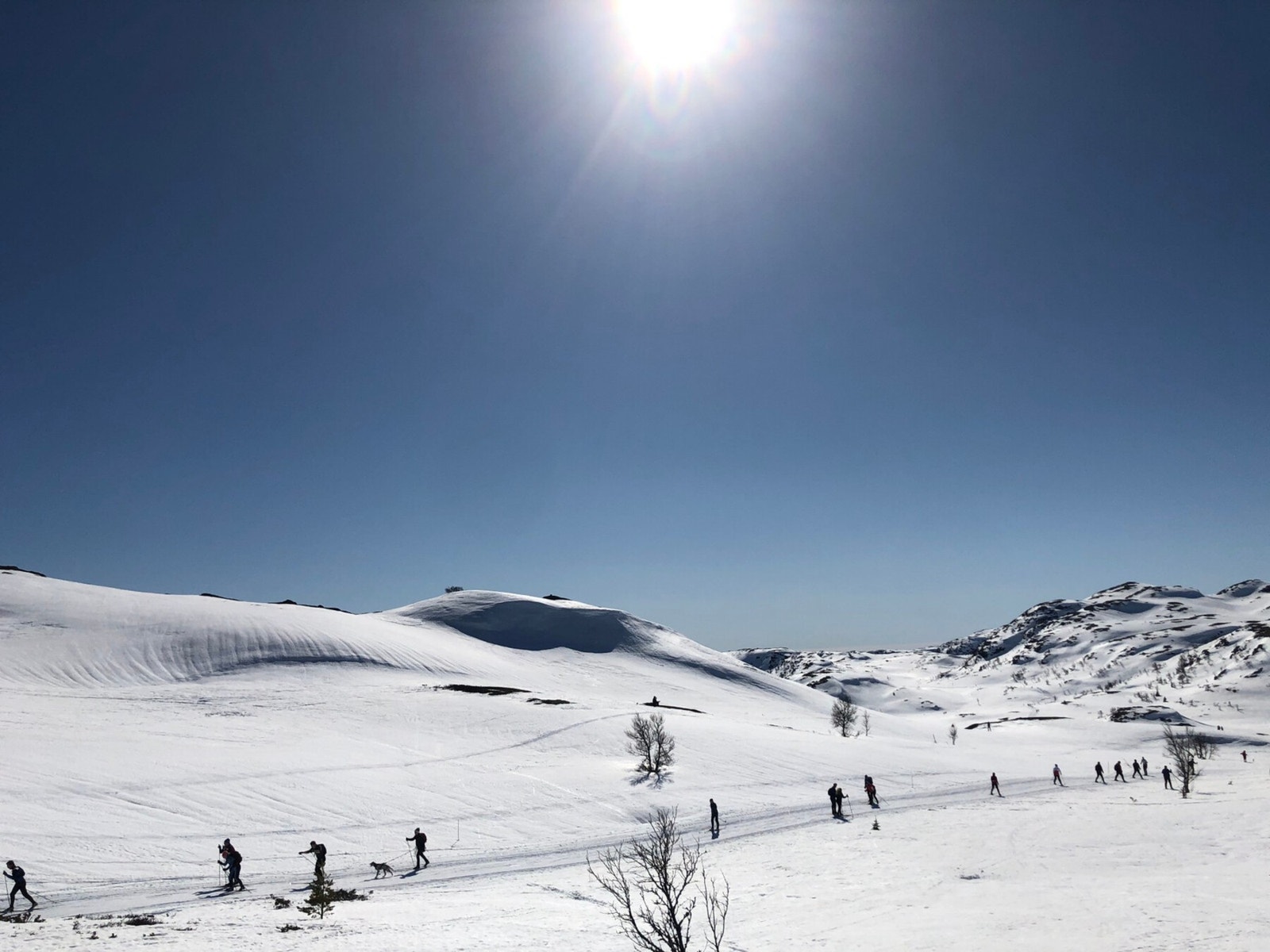 I umiddelbar nærhet fra hytta ligger Silkedalen med preparerte langrennsløyper på 150 km, eventyrlige turområder og fiskevann (privat bilde) Galleribilde