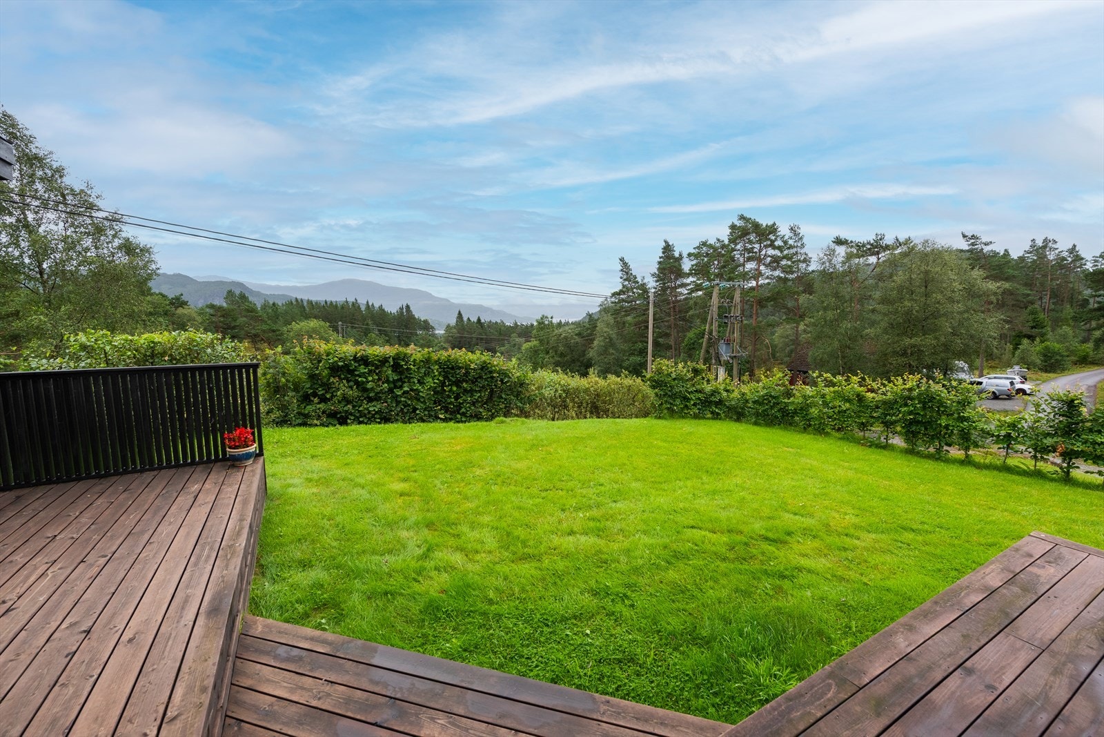 Stor og opparbeidet hage med bøkehekk. Galleribilde