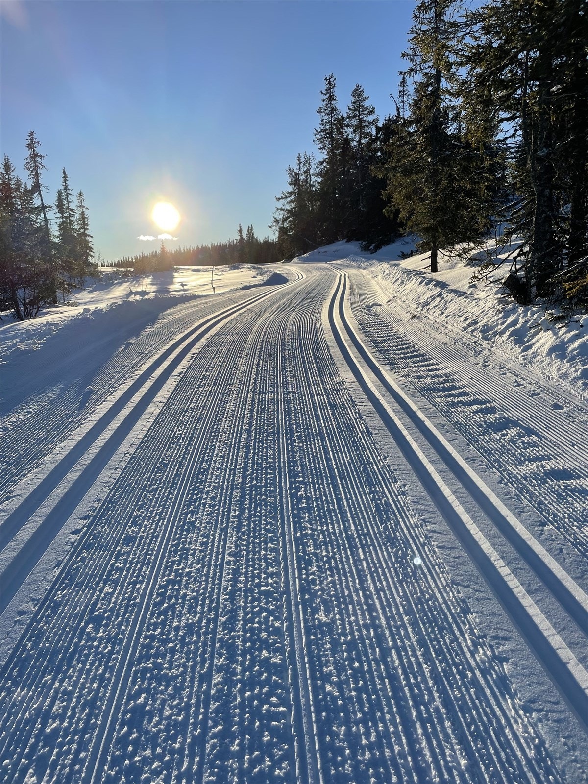 Selgers private bilder Galleribilde