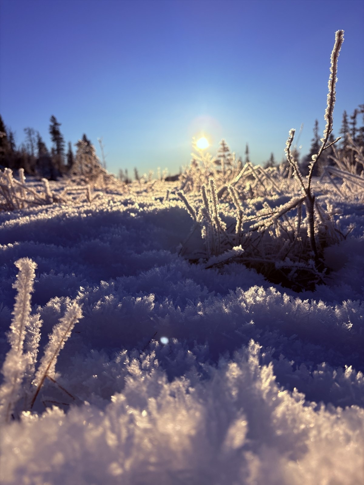 Selgers private bilder Galleribilde