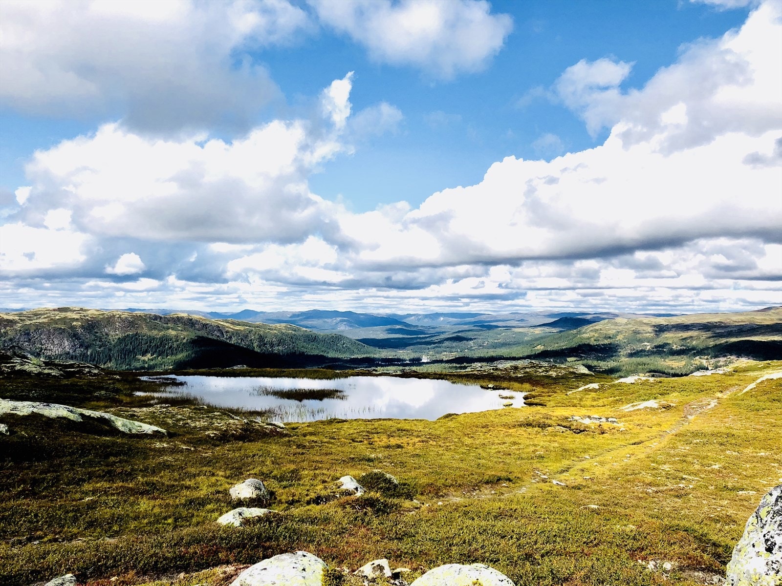 Selgers private bilder - platå oppe ved ved Killingdalen og turområdet rundt Galleribilde