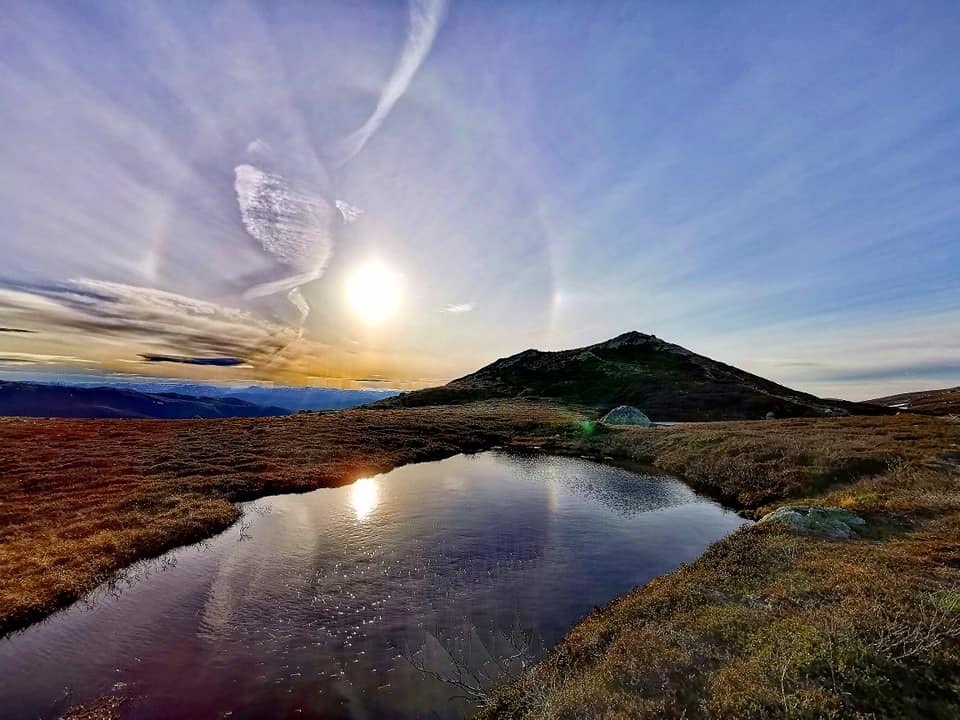 Selgers private bilder - platå oppe ved ved Killingdalen og turområdet rundt Galleribilde