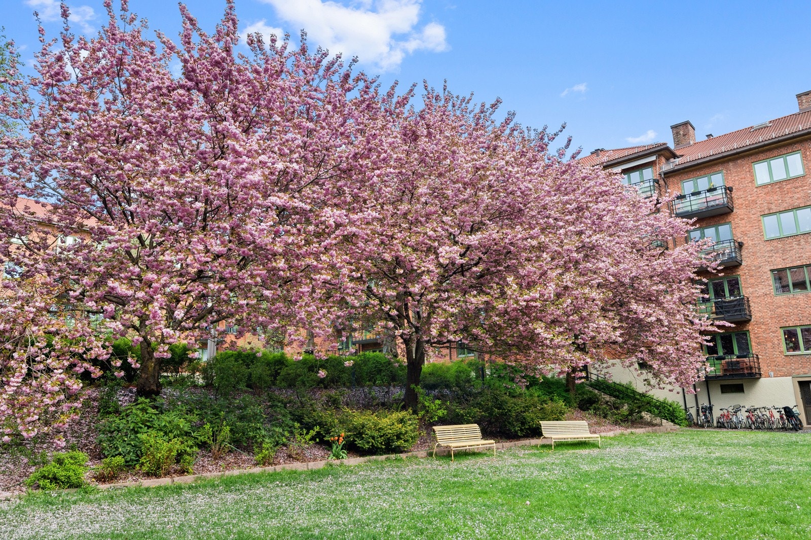 - Det er også felles sykkelrom og hobbyrom samt 16 fellesvaskerier i selskapet - Galleribilde