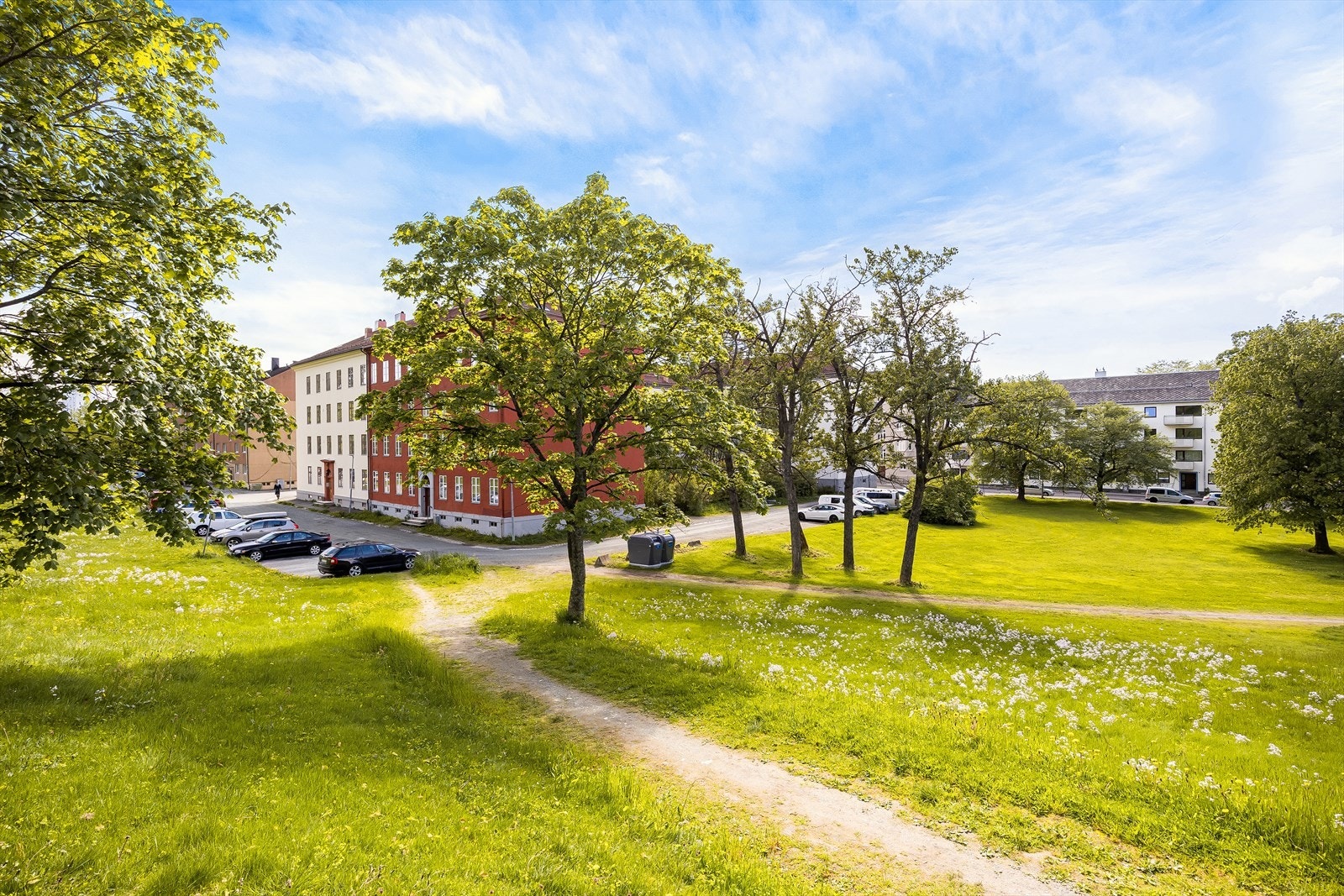 Sommerbilde. Stien rett bak leiligheten tar deg opp til NTNU Gløshaugen på få minutter. Galleribilde
