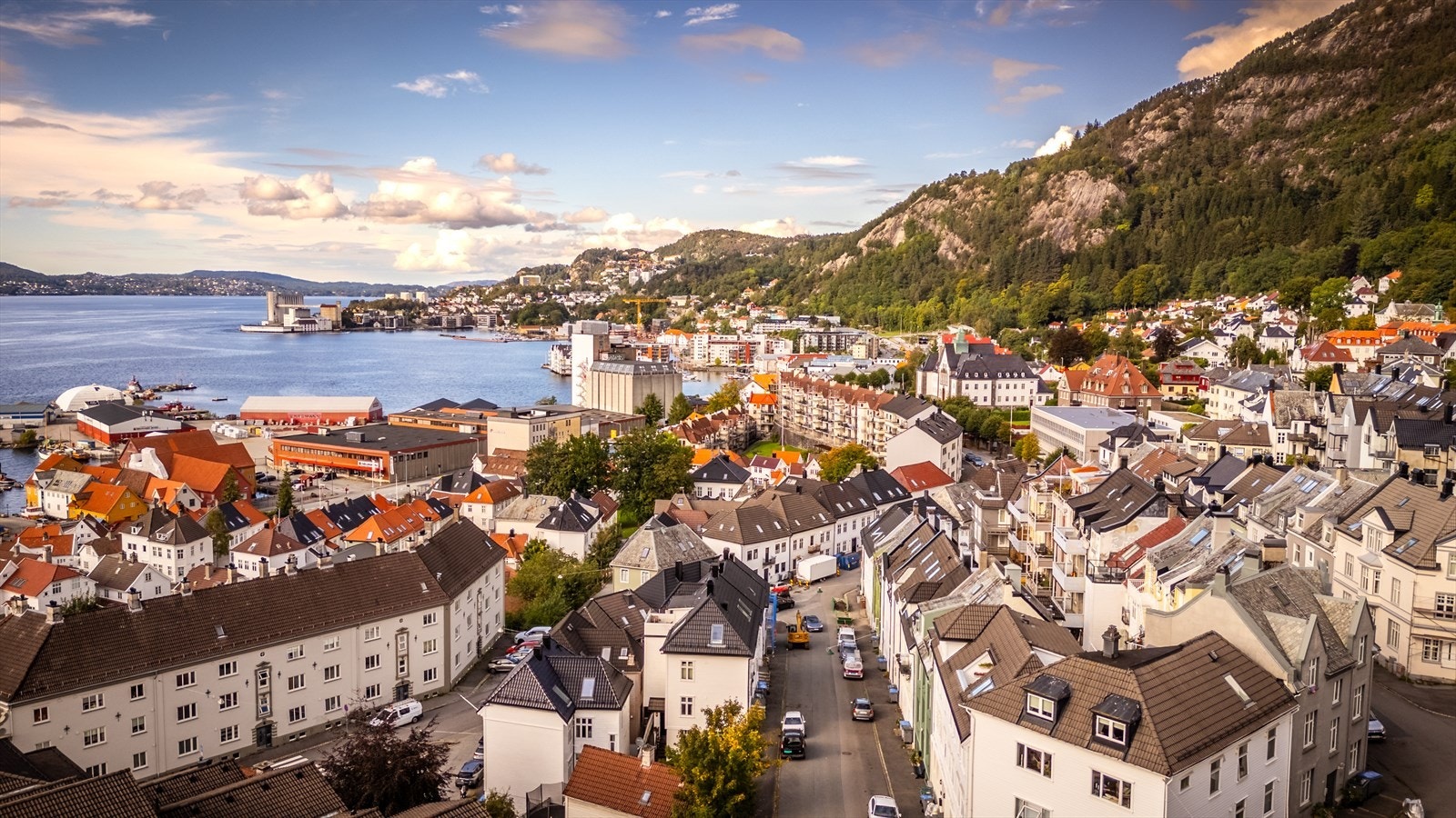 Studieinstitusjoner som BI, UIB og HVL er bare en busstur unna. Det er også gangavstand til NHH i motsatt retning. Galleribilde