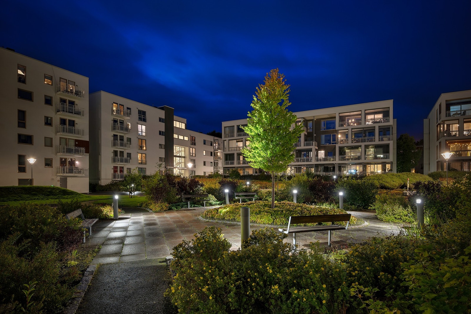 Boligen er en del av Ringve Park, et nyere boligområde med stilrene bygninger og flotte fellesområder opparbeidet med blant annet internstier, benker og grøntarealer. Galleribilde