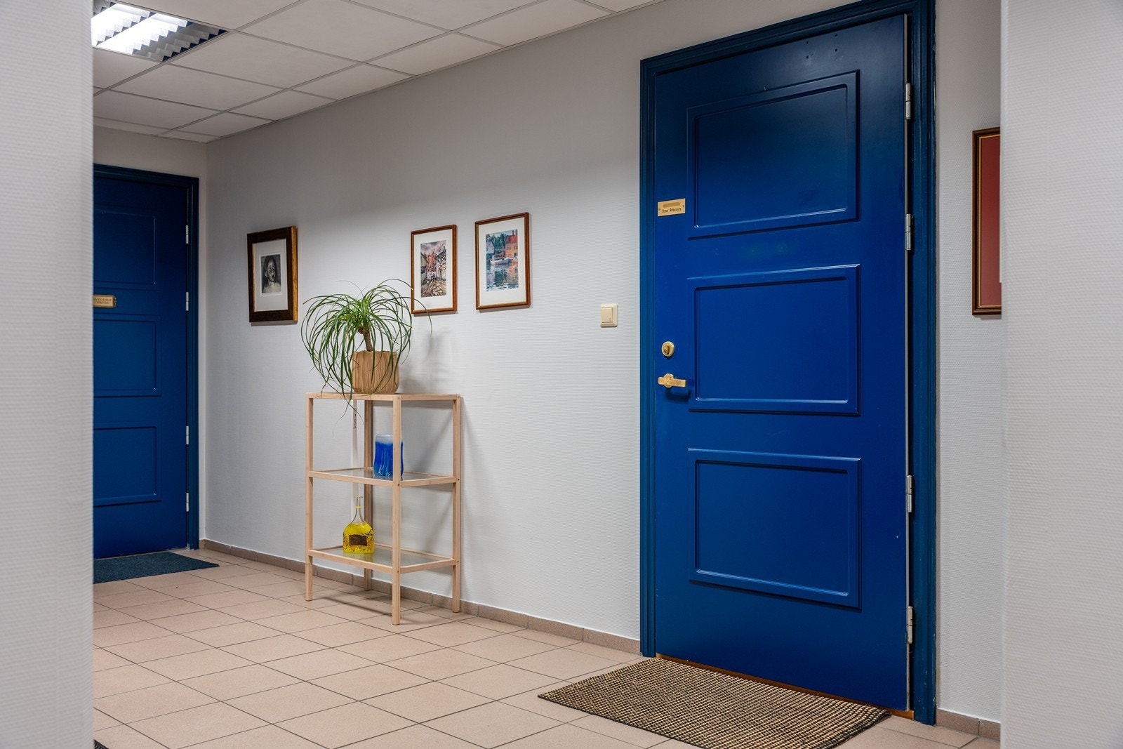 Felles gang Galleribilde