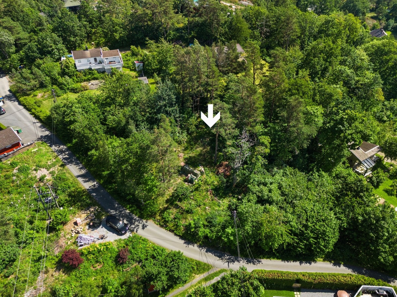 903 m2 jomfruelig ubebygd tomt Galleribilde