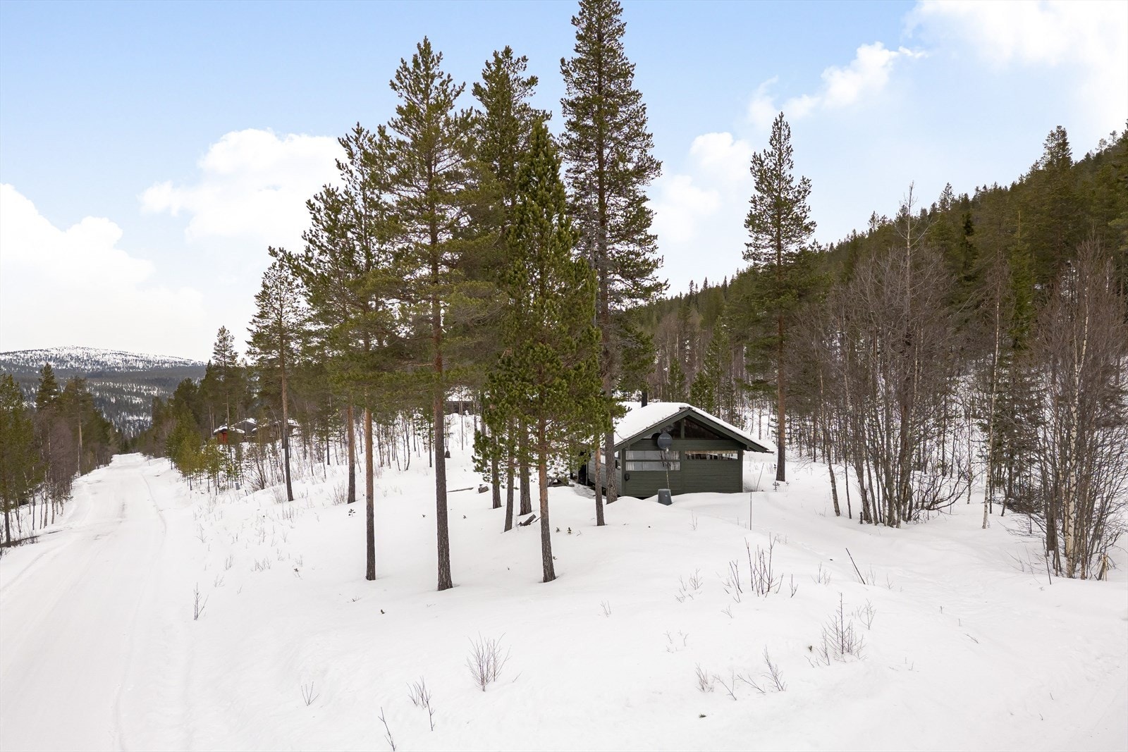 Det er bilvei inn til hytta og kort vei til oppkjørte skiløyper og Renåfjellet alpinsenter. Galleribilde