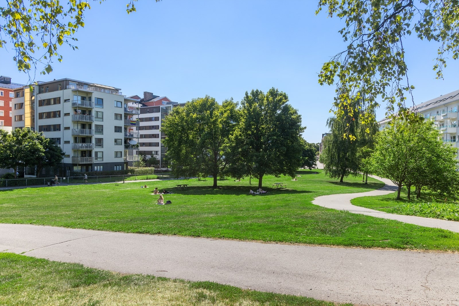 Områdebilde. Galleribilde
