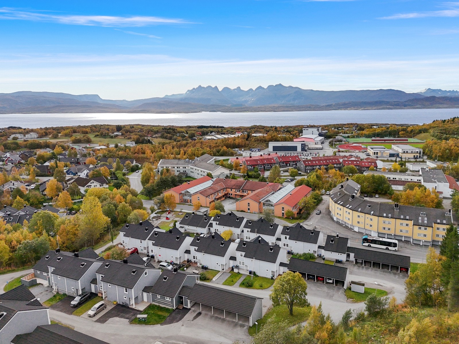 Sommer/høst mørkved. Galleribilde