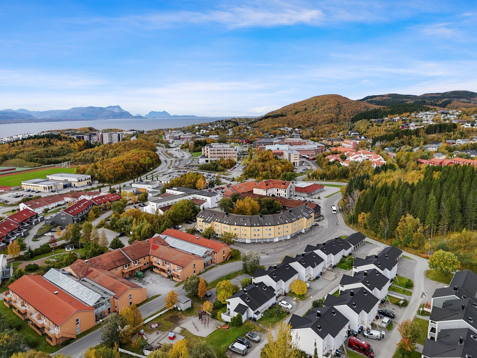 Sommer/høst mørkved. Galleribilde