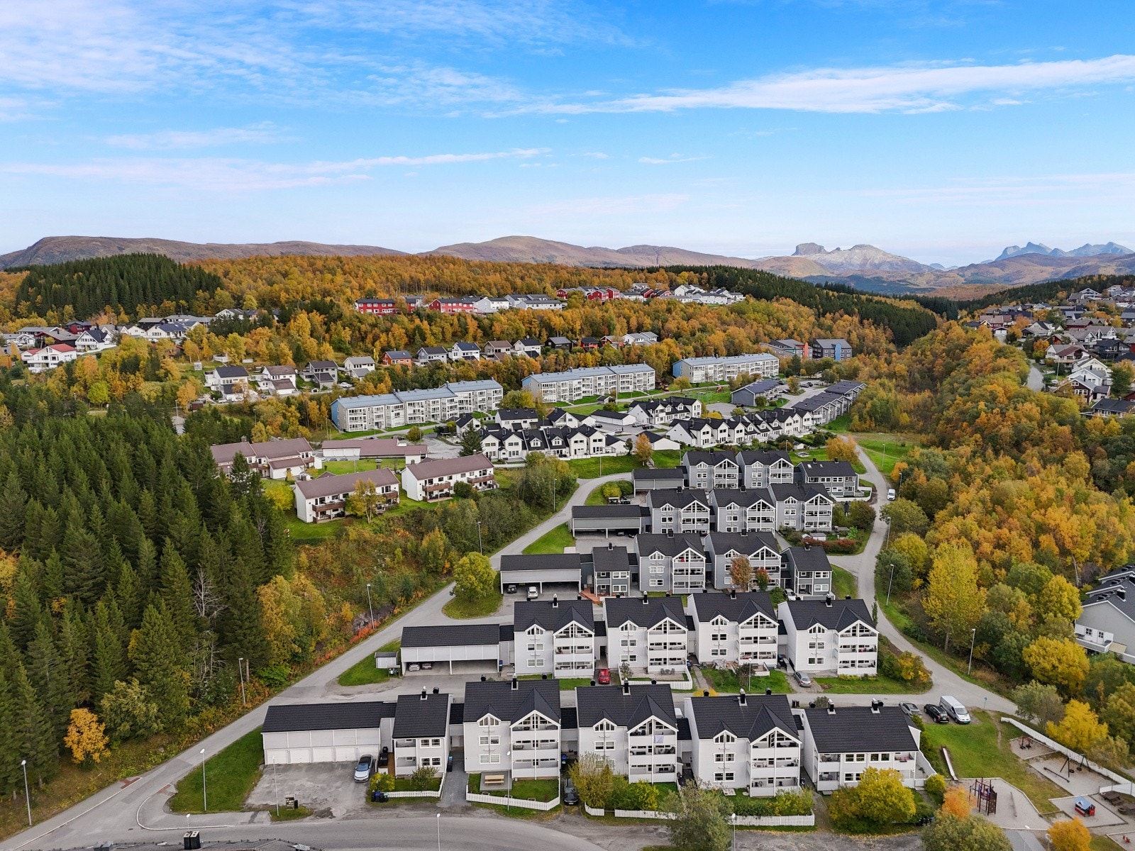 Sommer/høst mørkved/brl. Galleribilde