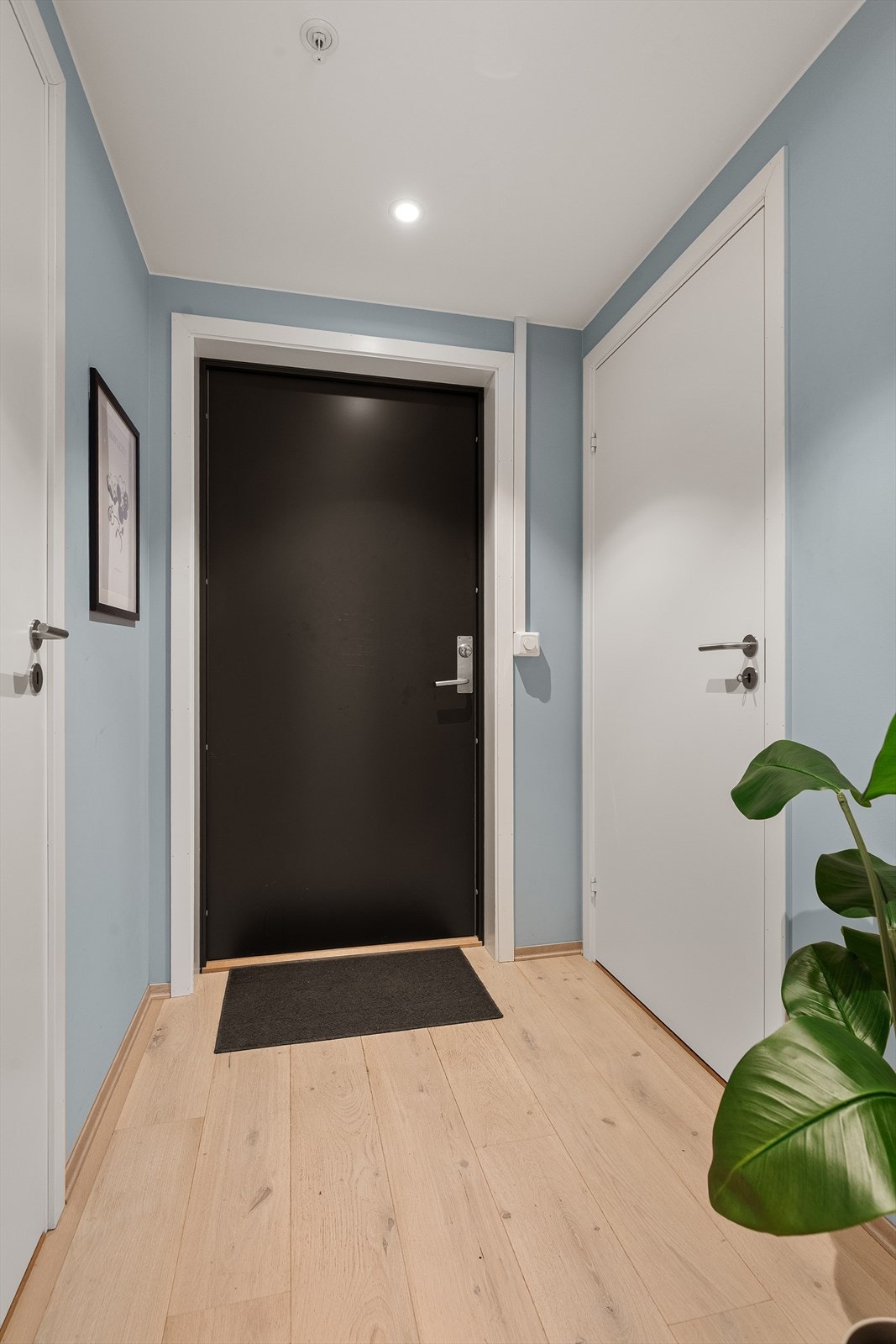 Velkommen hjem! Galleribilde