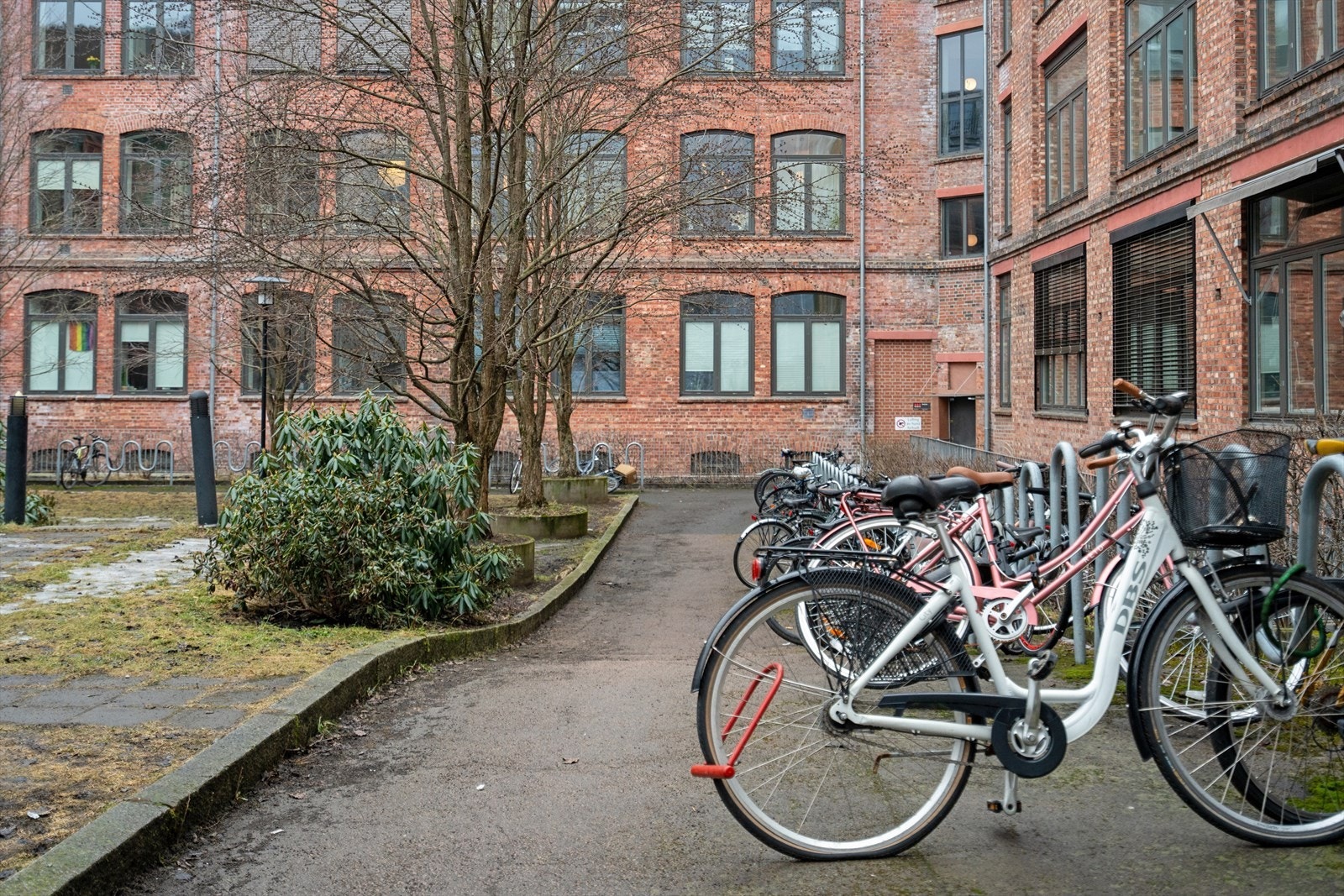 Bakgård med sykkelparkering Galleribilde