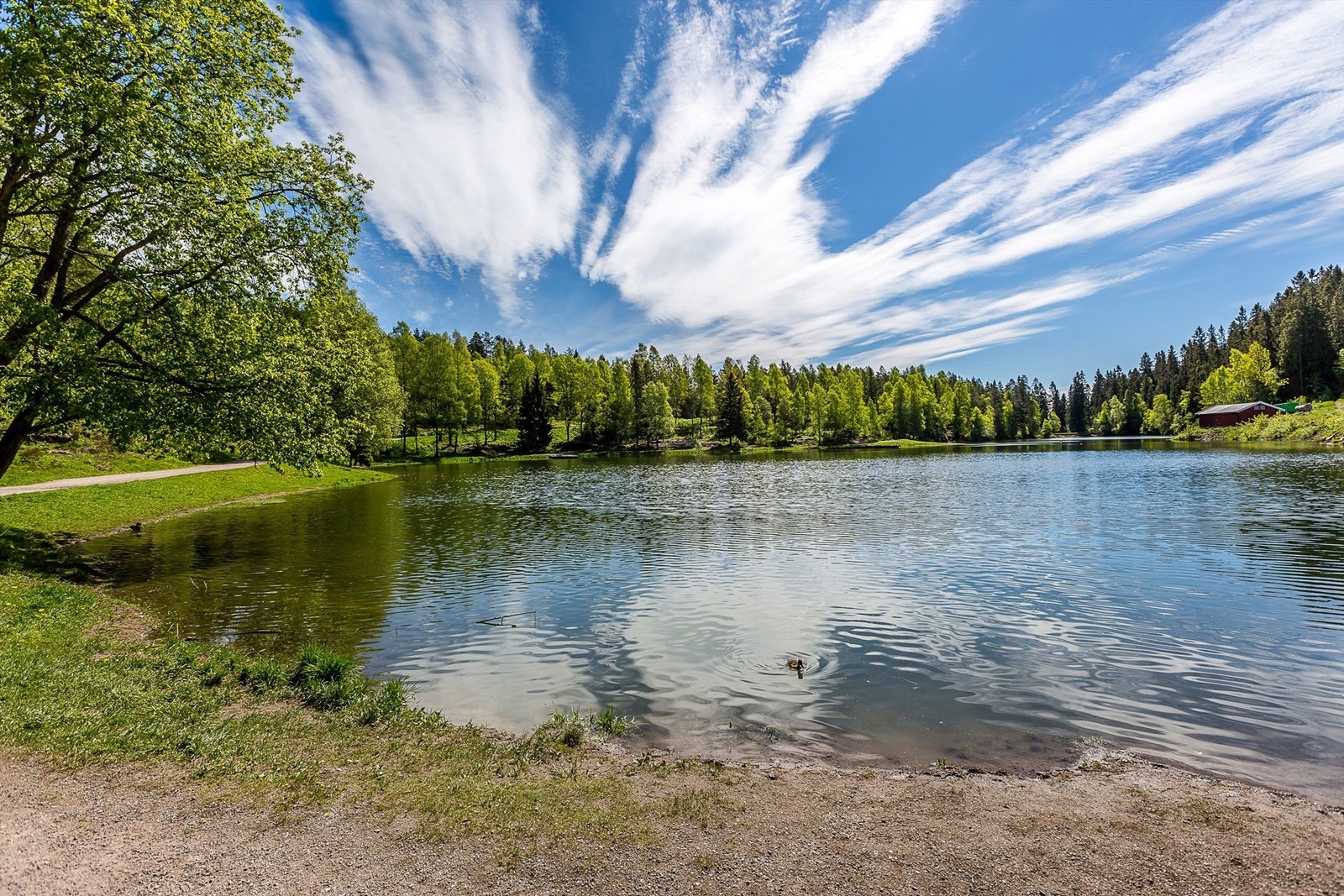 Lillomarka har en rekke idylliske tjern som er populære turmål for bading og rekreasjon. Galleribilde