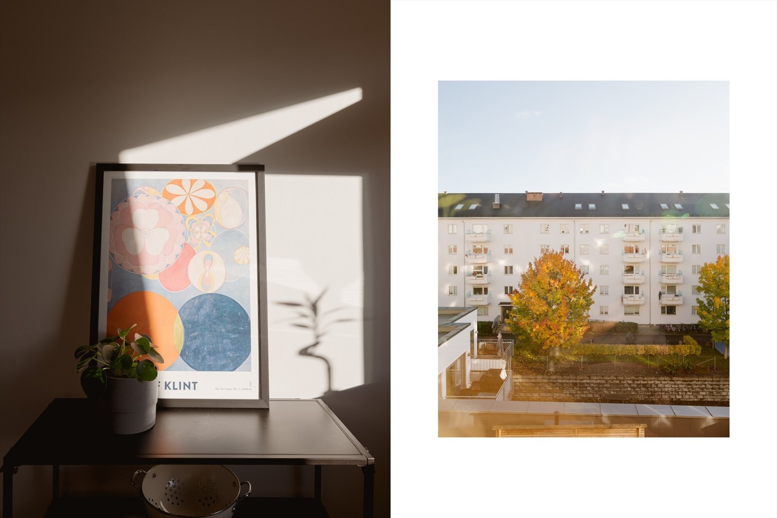 Morgensolen skaper et nydelig lysinnslipp - en herlig start på dagen! Galleribilde