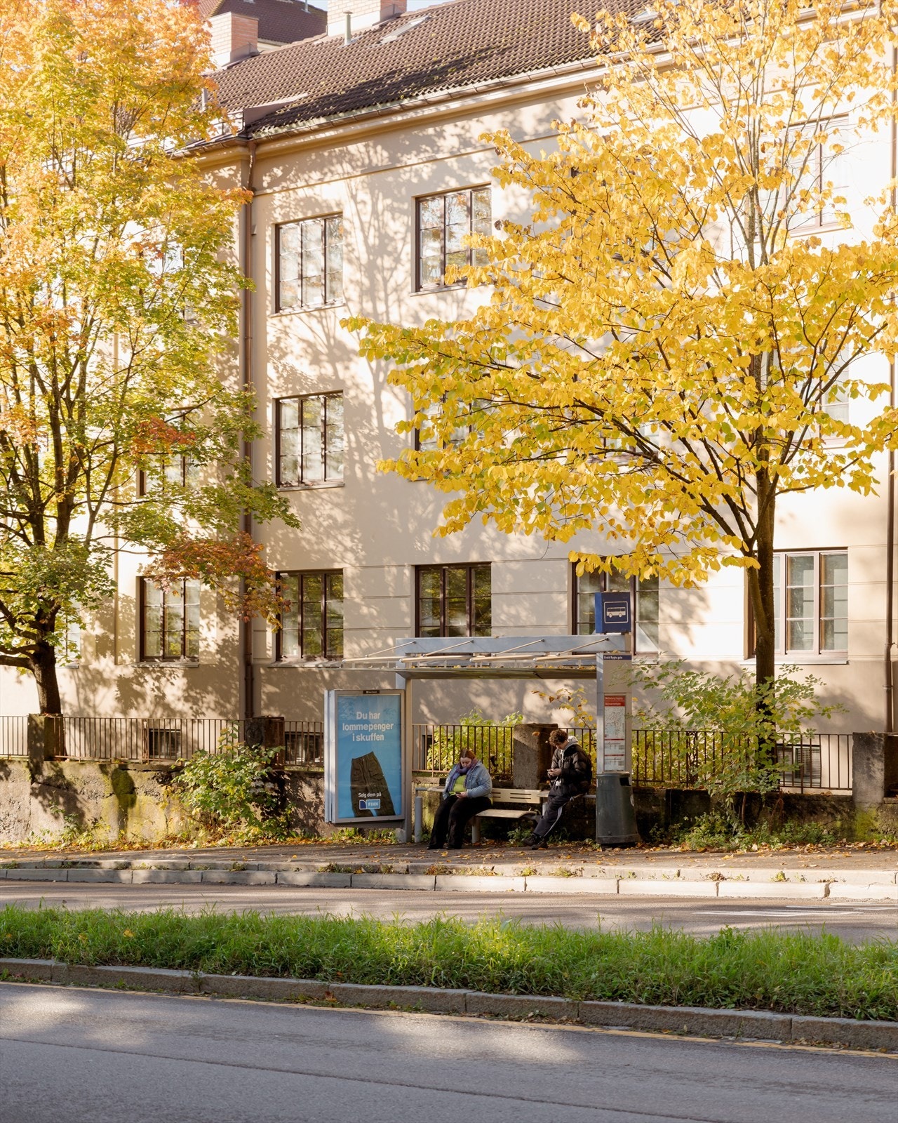 Bussholdeplass finner du rett utenfor inngangsdøren! Galleribilde