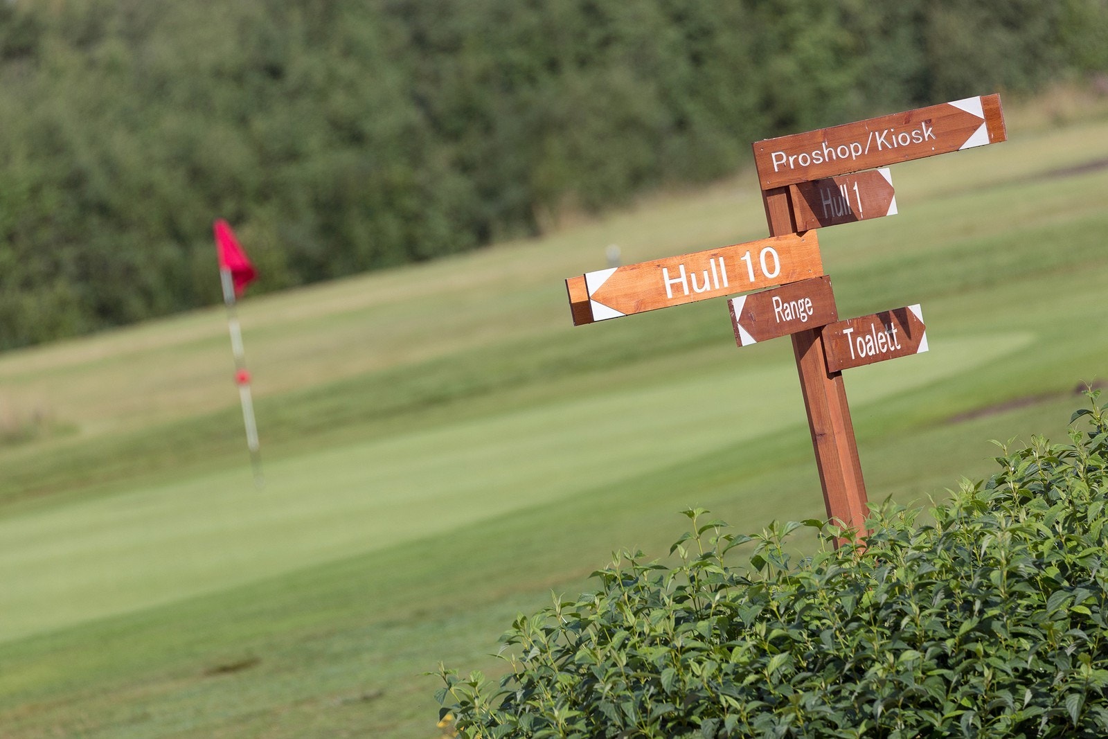 Det er en flott 18-hulls golfbane på Aurskog Galleribilde