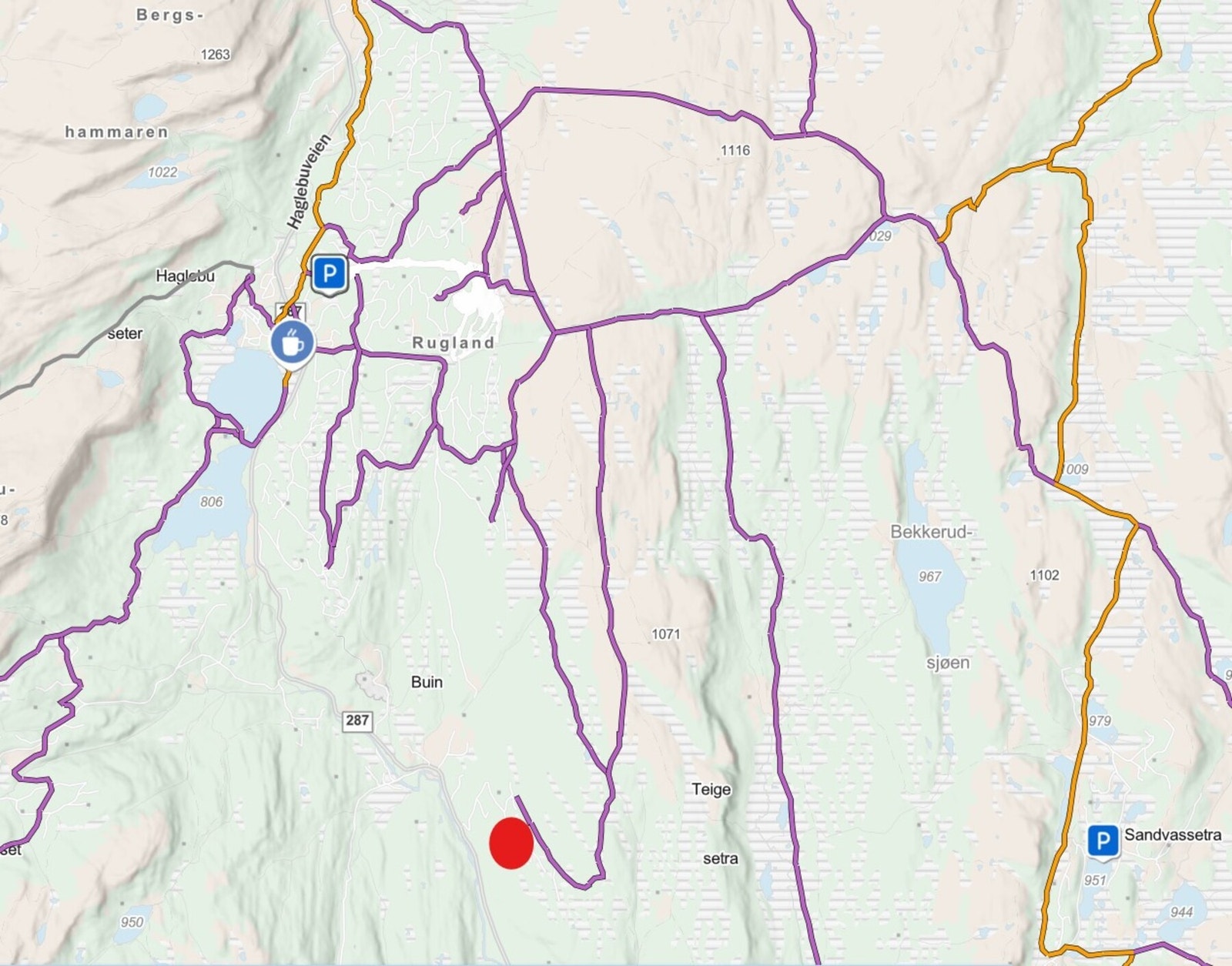 Utsnitt fra skisporet.no som viser tomteområdet (rød prikk) og løypenettet i området. Ski inn/ut langrenn. Galleribilde