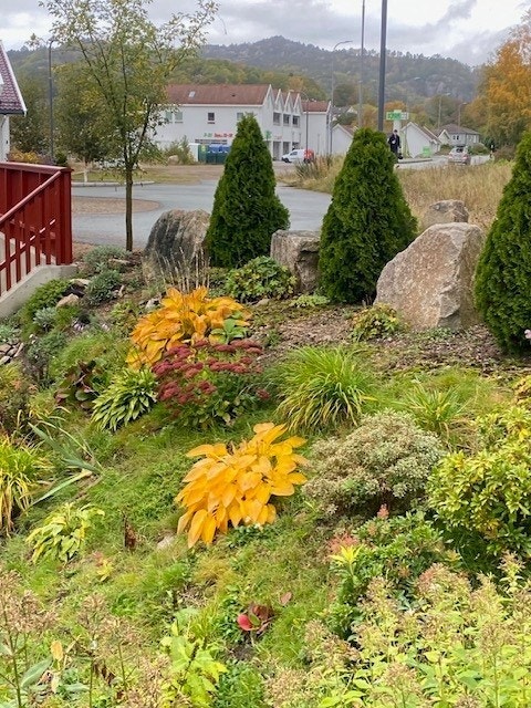 Privat bilde Galleribilde