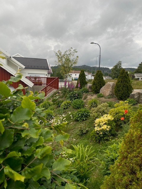 Privat bilde Galleribilde