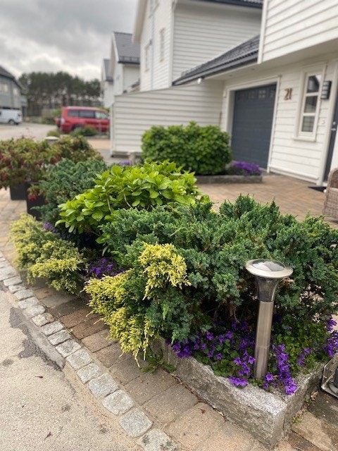 Privat bilde Galleribilde