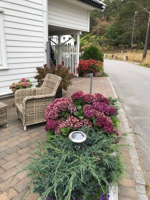 Privat bilde Galleribilde