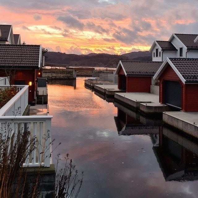 Privat bilde Galleribilde