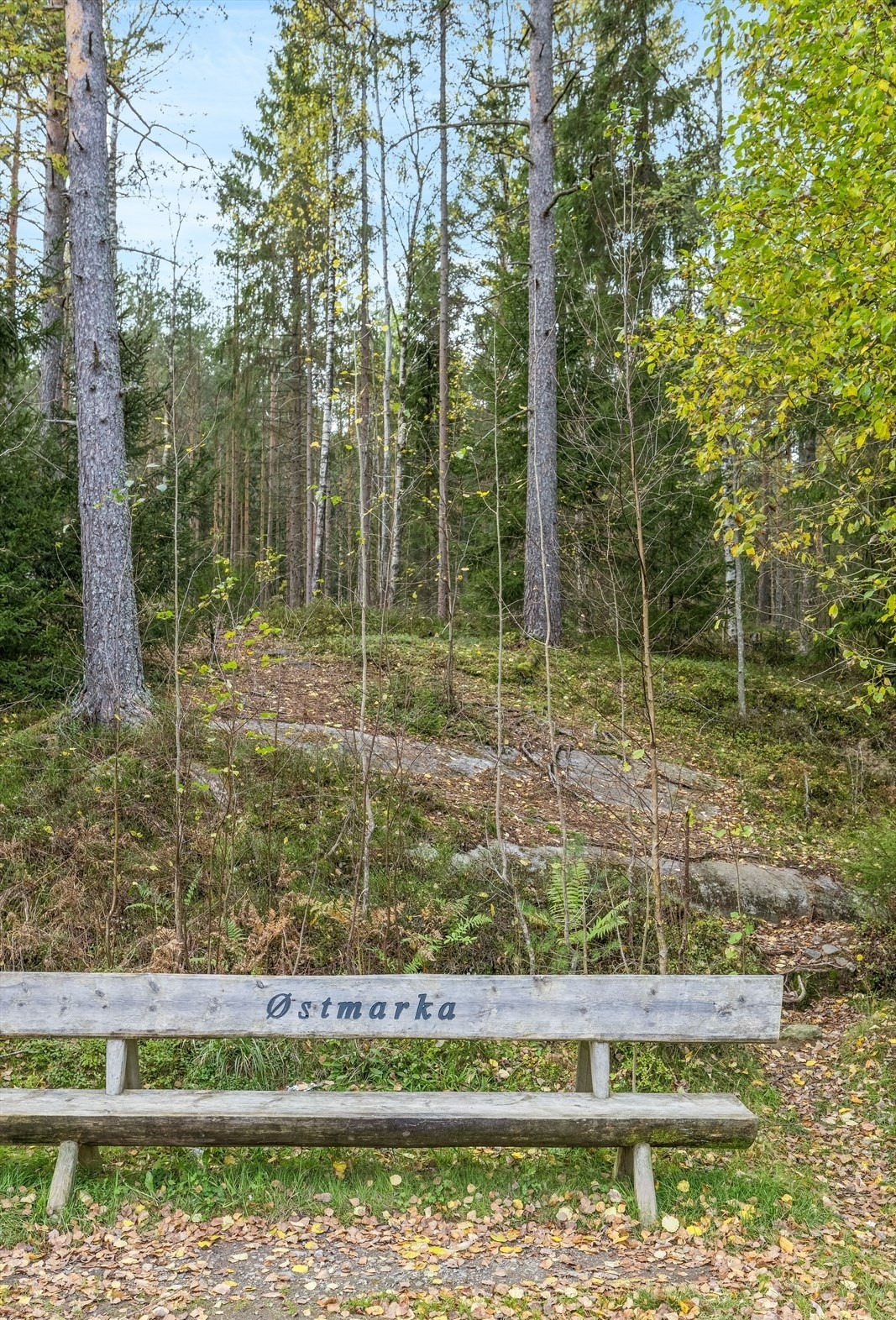 Boligen ligger også i umiddelbar nærhet til flotte tur- og friluftsområder i Grønliåsen og Østmarka, noe som gir gode rekreasjonsmuligheter både sommer og vinter. Galleribilde
