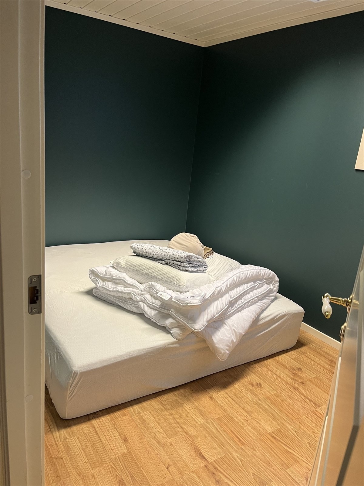 Utleiedel - fotografert av kunde. Galleribilde