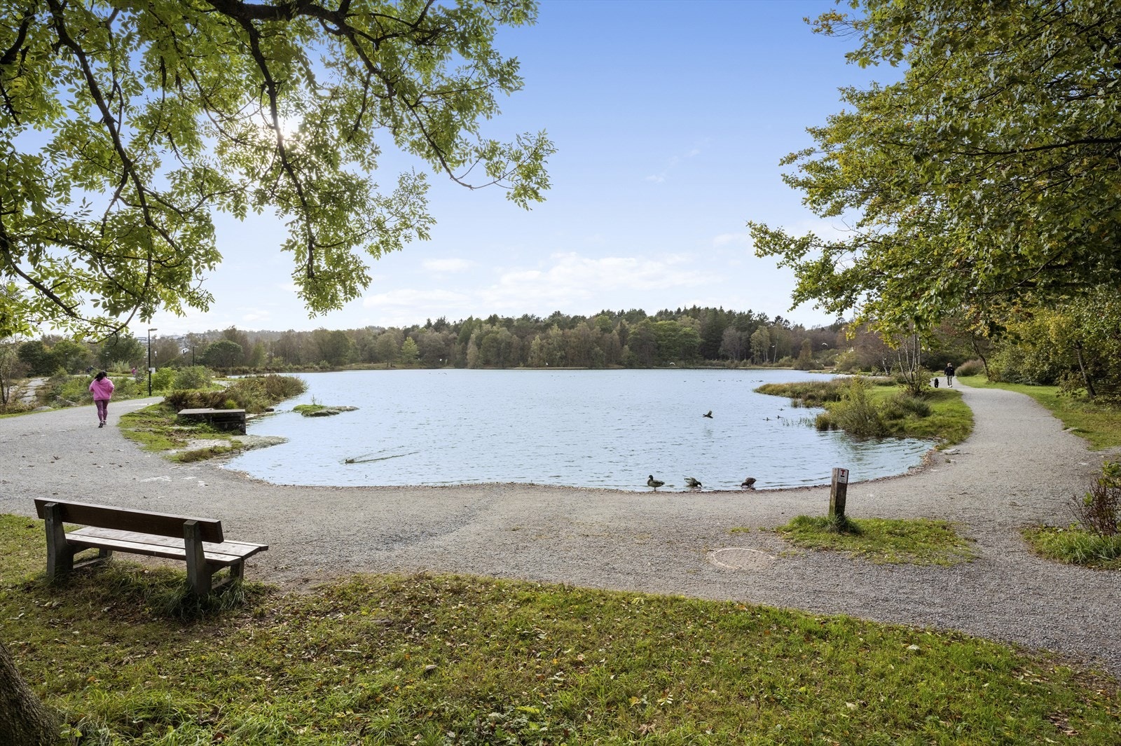 Nærområde - Vannassen Galleribilde