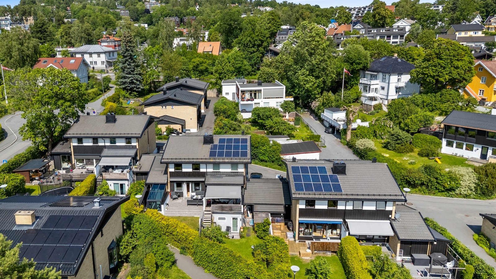 Grønne omgivelser. Galleribilde