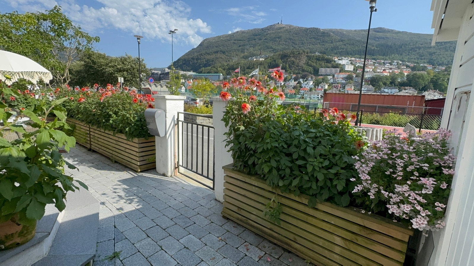 Har du grønne fingre? Da kommer blomsterkassene og hagen godt med. Galleribilde