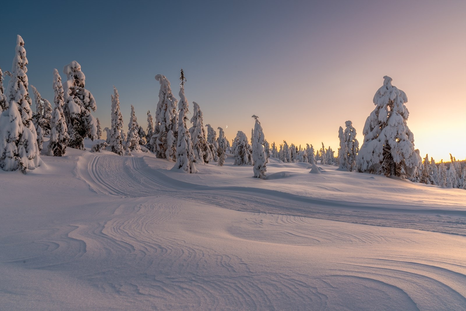Skispor fra Nipeto til Gampeflå. Galleribilde