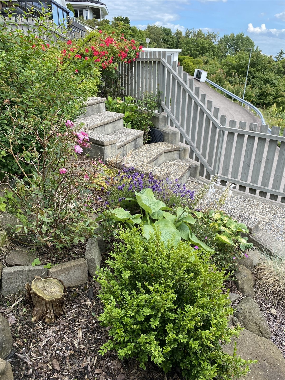 Selgers sommerbilde Galleribilde