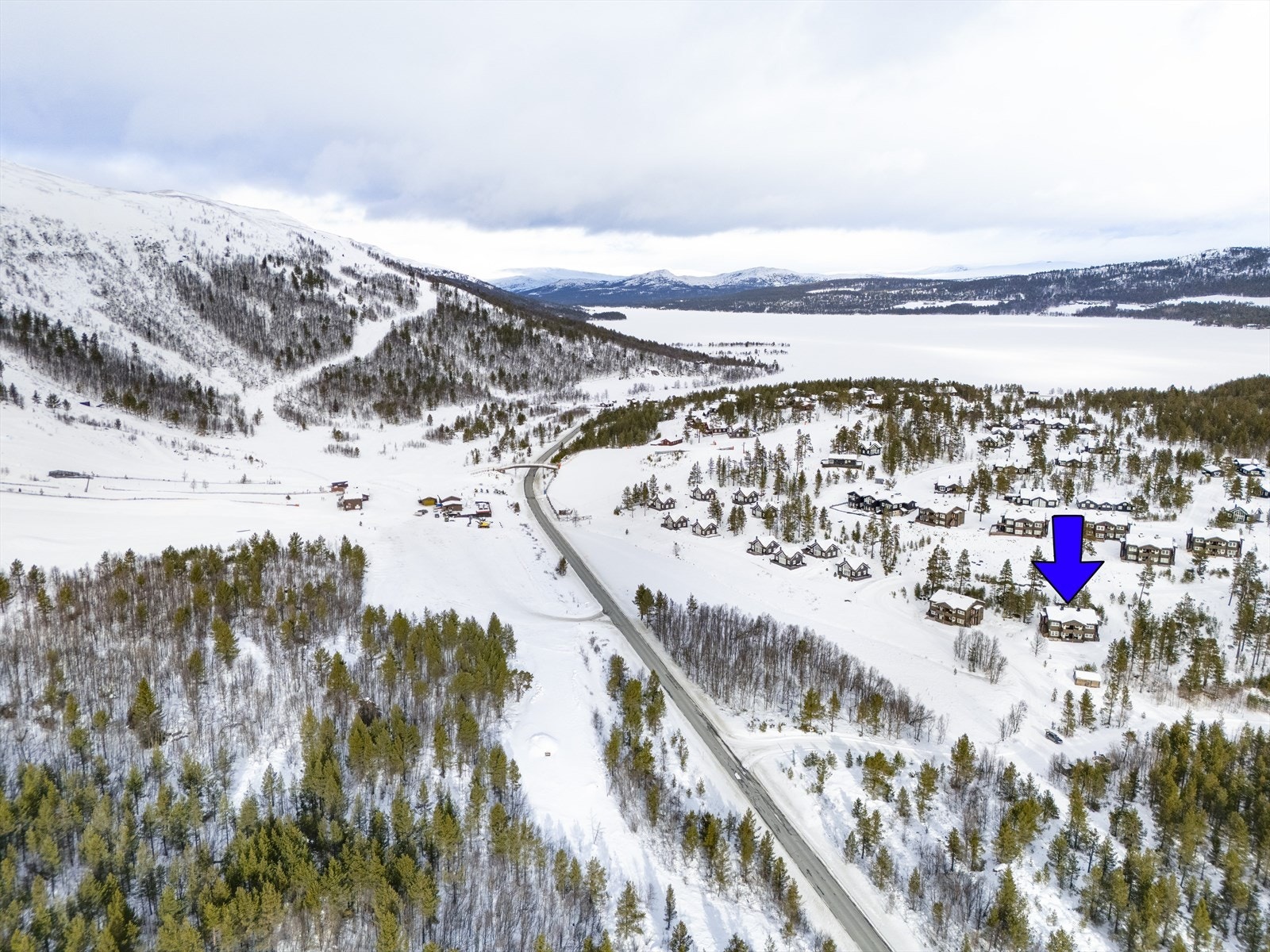 Velkommen til visning - husk å melde deg på! Galleribilde