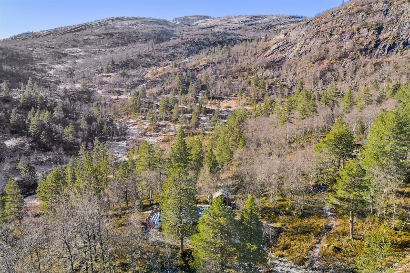 Umiddelbar nærhet til fantastisk natur og turmuligheter hele året Galleribilde